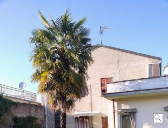 TERRATETTO a MAGNAGO - Foto 12